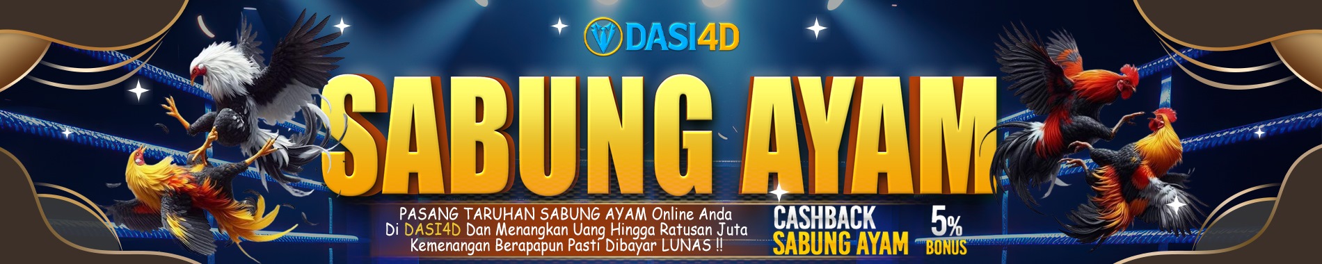 DASI4D